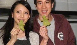 吃瓜娱乐圈娱记,揭秘明星幕后故事