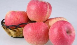 娱乐吃瓜酱苹果下载安装,苹果设备轻松下载安装指南