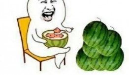 当代娱乐圈吃瓜,揭秘明星们的“瓜田”生活